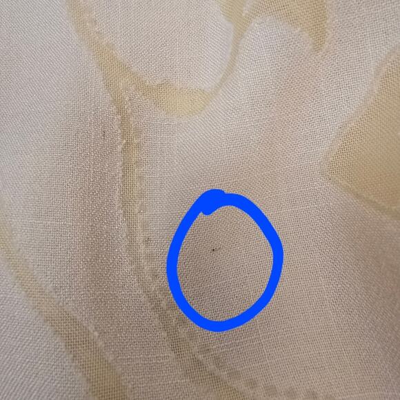 Alfred Dunner Yellow Burnout Sheer Sparkly Butterfly Cottage Core Shirt  24W - Picture 9 of 12